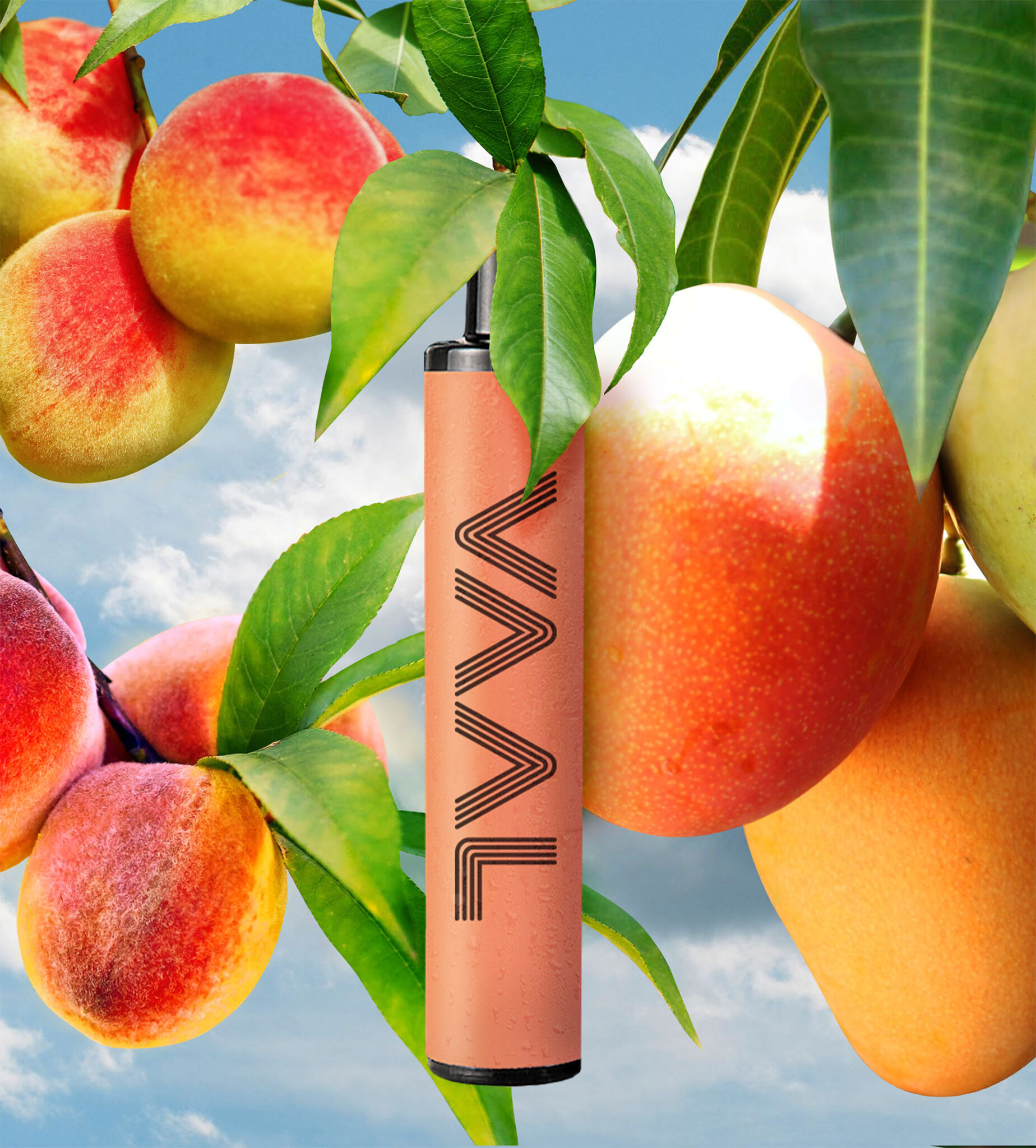 VAAL500 poster Peach Mango