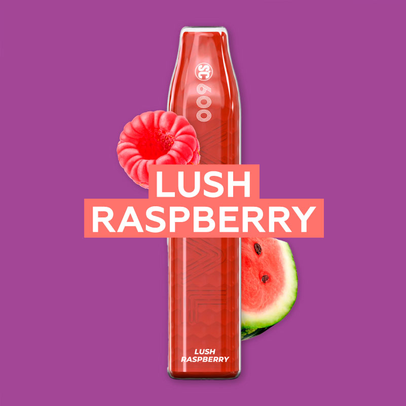 VAAL SC 600 Lush Raspberry E-Shisha
