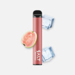 Salt Switch GUAVA ICE Vape 20 mg/ml Nikotin 600 Züge