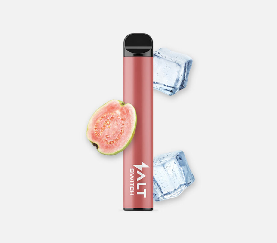 Salt Switch GUAVA ICE Vape 20 mg/ml Nikotin 600 Züge