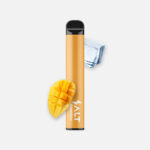 Einweg E-Zigarette Salt Switch mango ice