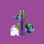 VAAL AOP1000 BLUEBERRY ICE 20 mg/ml Nikotin 1000 Züge
