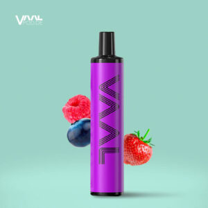 VAAL 500 Mixed Berries Einweg E-Zigarette